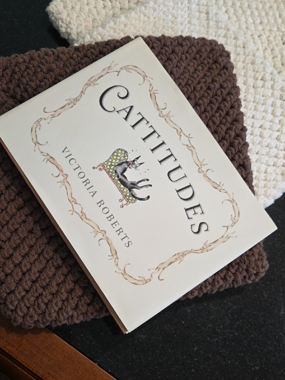 Catatudes Book  by Victoria Roberts, small book, Cat Lovers Gift